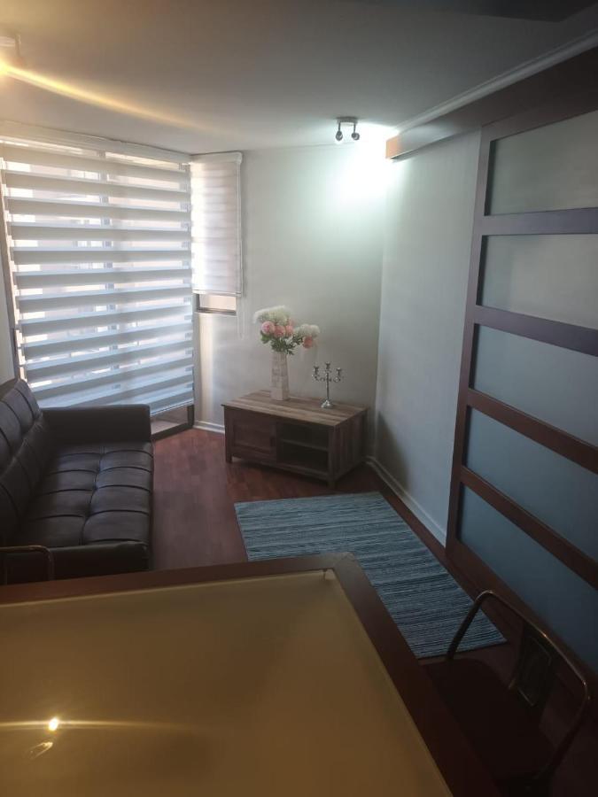 Acogedor Y Renovado Departamento Appartement Santiago Buitenkant foto