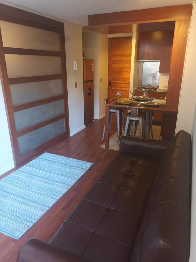 Acogedor Y Renovado Departamento Appartement Santiago Buitenkant foto